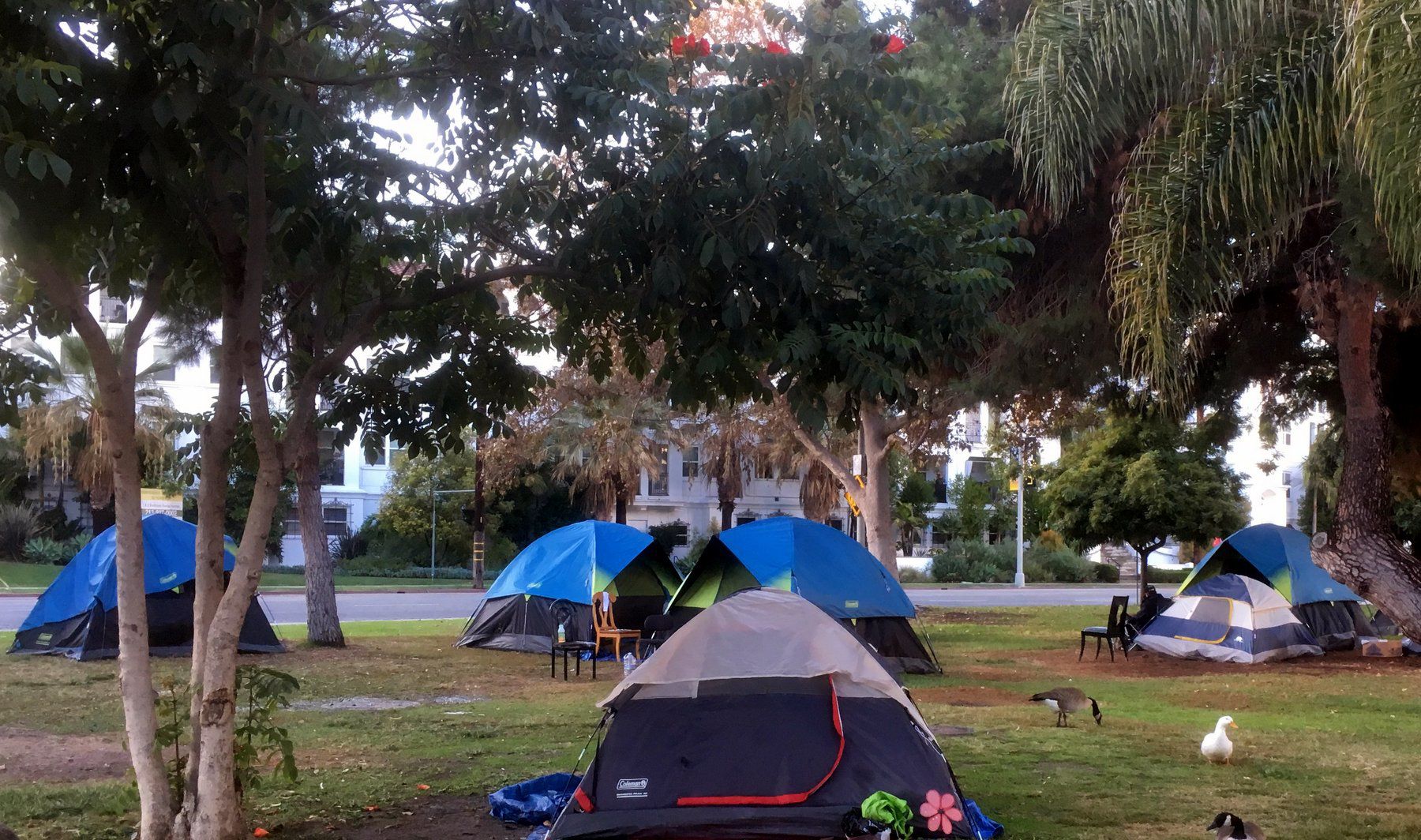 Echo Park Lake homeless encampment